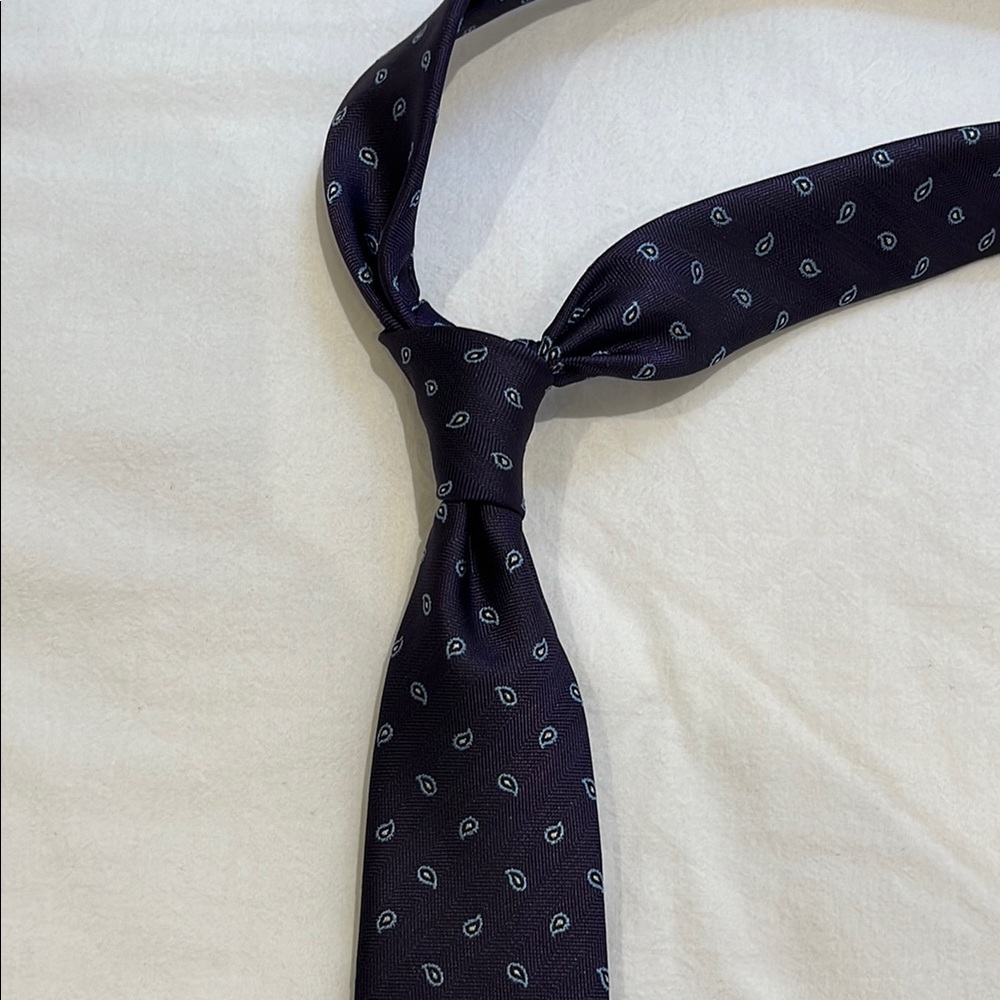 Elegant Deep Purple Paisley Tie